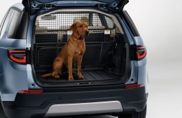 Discovery Sport Loadspace Liner Tray - Luggage Divider