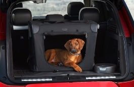 Discovery Sport Foldable Pet Carrier