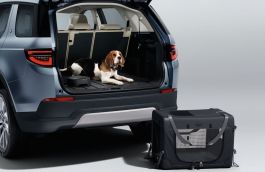 Pet Transportation Pack