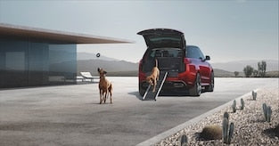 Range Rover Sport Pet Care and Access Pack