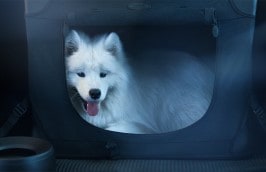 Range Rover Velar Extended Pet pack