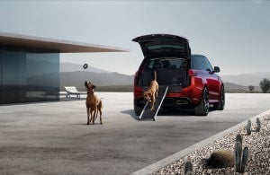 Range Rover Sport Pet Pack
