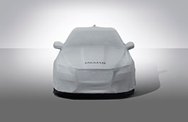 All-Weather Car Cover